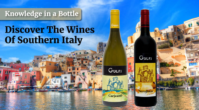 Discover The Wines Of Southern Italy